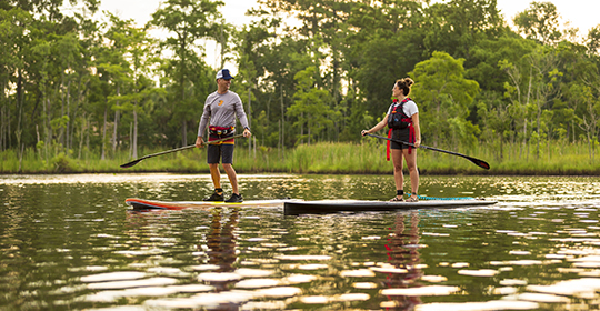 Getting Started with Paddle Boarding: Easy Tips for Beginners